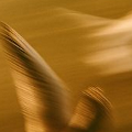 Jon Gray on His Confidence in Private Credit’s Enduring Premium